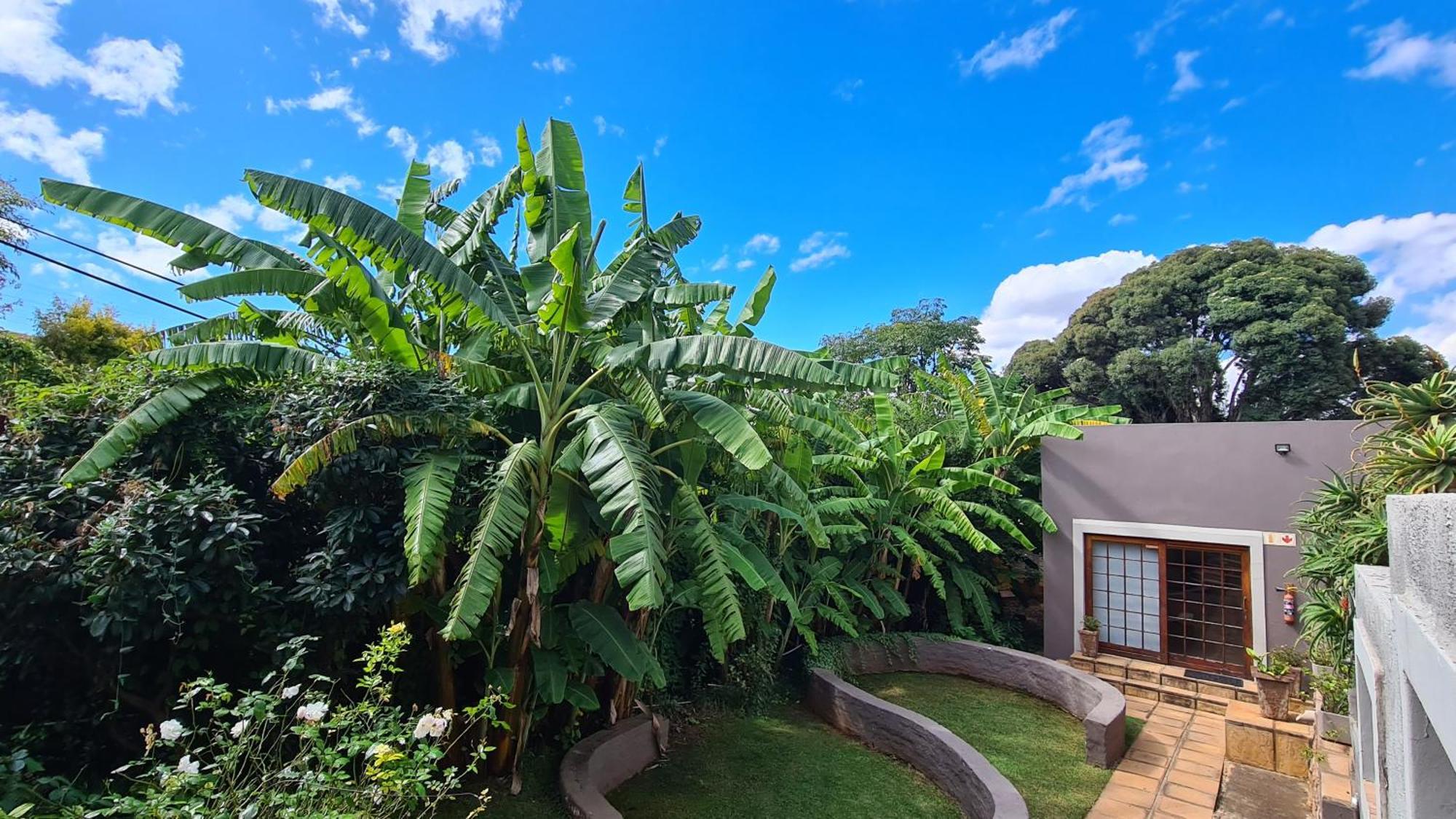 7Th Street Guesthouse Johannesburg Dış mekan fotoğraf