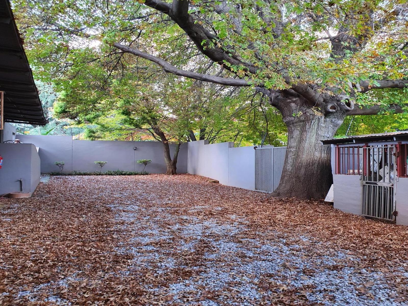 7Th Street Guesthouse Johannesburg Dış mekan fotoğraf