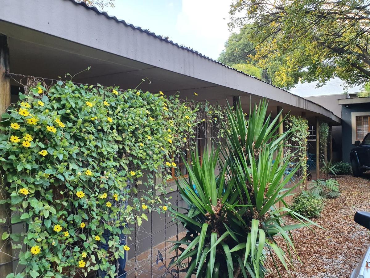 7Th Street Guesthouse Johannesburg Dış mekan fotoğraf