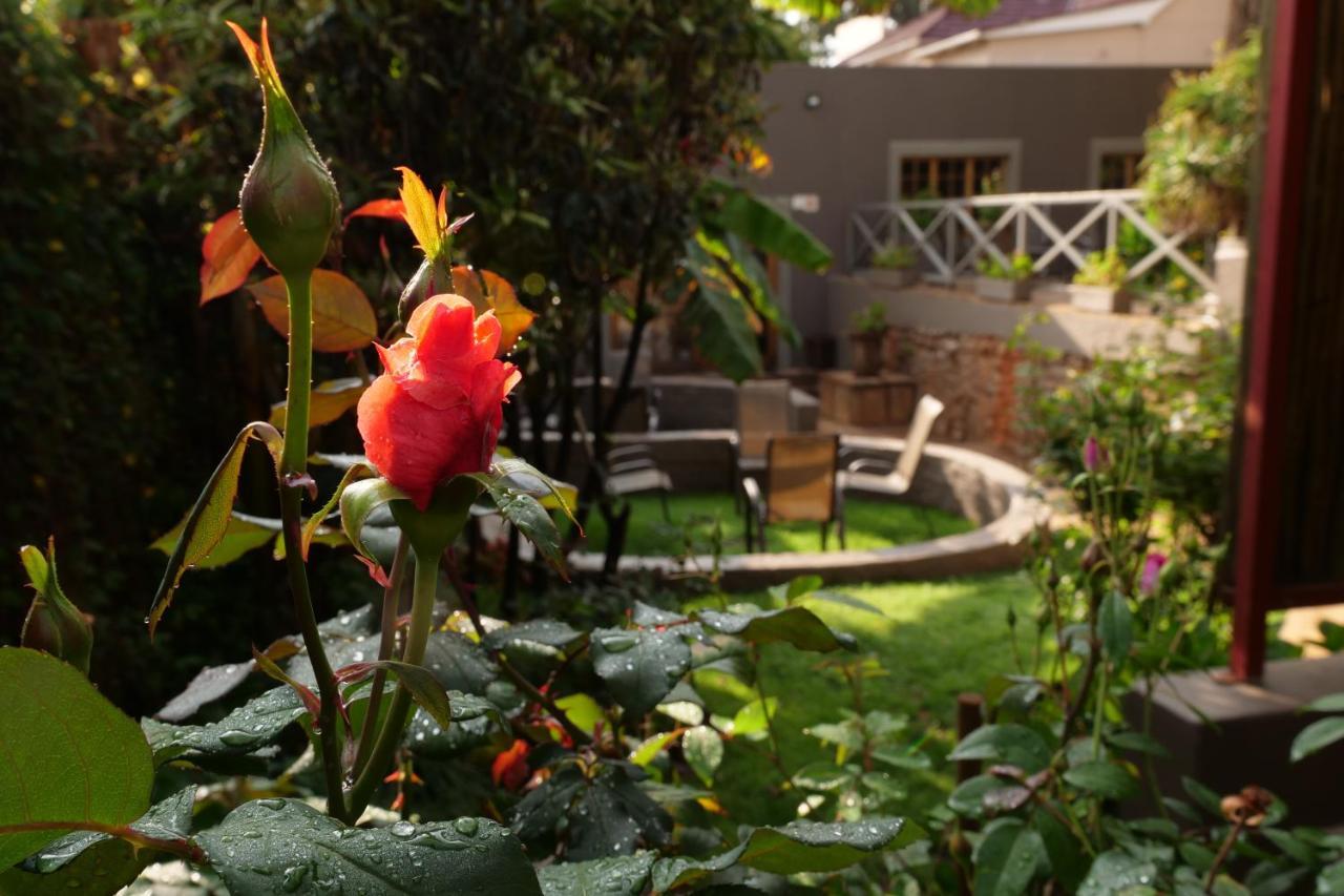 7Th Street Guesthouse Johannesburg Dış mekan fotoğraf